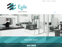 Tablet Screenshot of egile.es